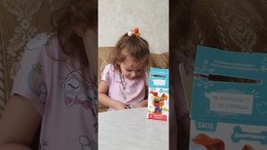 Распаковка коробочки Свит бокс . Распаковка ДворНяшки  . собачки