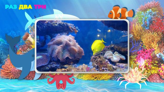 Давай узнаем, какие животные живут в морях и океанах! Учим морских животных по системе Монтессори. смотреть онлайн