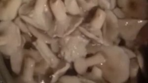 Маринованные рядовки. Вкусно, полезно.