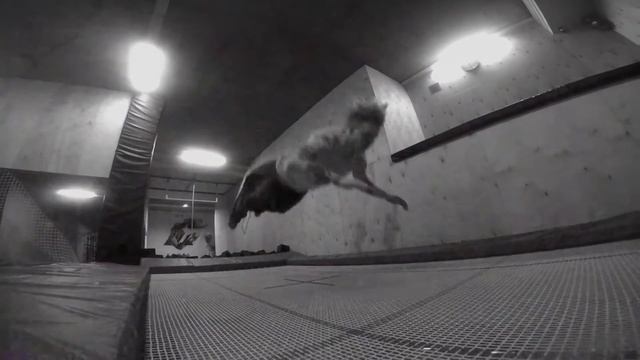 Igor  Stepa - LvL Up  FRNS