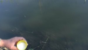 Рыбалка. Ловля на пружины и поплавок. My fishing.