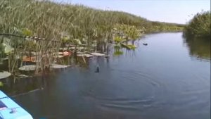 Летняя рыбалка в низовье Волги