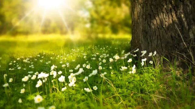 ПЯТАЯ МЕРНОСТЬ. Там, где живут сказки. смотреть онлайн