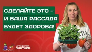 АКТУАЛЬНАЯ АГРОТЕХНИКА ПО УХОДУ ЗА РАССАДОЙ ОВОЩЕЙ И ЦВЕТОВ В МАРТЕ