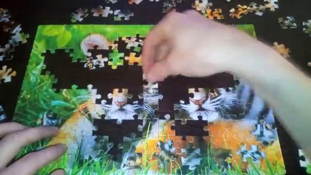 Собираем ПАЗЛ Наши маленькие друзья, Тигрята / We collect puzzle Our little friends, Cubs смотреть онлайн