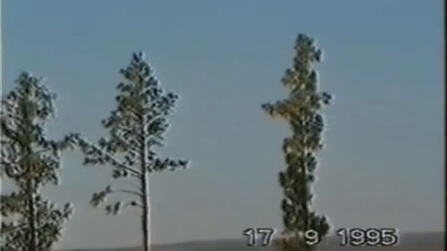 Надеждинск 95
