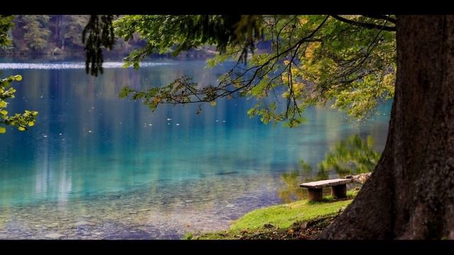 На знакомой скамье смотреть онлайн