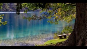 На знакомой скамье