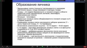 Гинекология-Анатомия, физиология. Менструальный цикл. (читает заведующий)