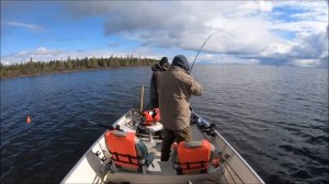 Ice Out lake Trout (Kasba lake lodge)- Mig Sig Outdoors