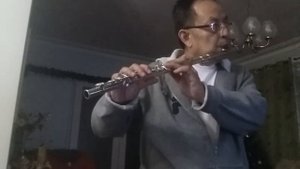 may it be lord of the rings (flute cover).