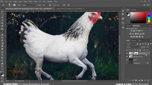 How to Blend Two Images in Photoshop | Animals Photo Manipulation