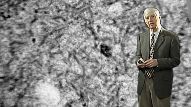 Roger Beachy (Danforth Center) Part 1: Biology of Plant Virus Infection смотреть онлайн