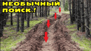 НЕРЕАЛЬНЫЙ ПОИСК по ЛЕСНЫМ РВАМ! НАХОДКИ С ГЛУБИНЫ УДИВЛЯЮТ! В Поисках Клада от Влада!