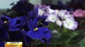 Садовый центр "Кормушка" г. Тихорецк