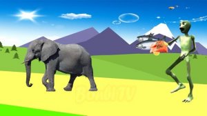 картинки животных для детей до года - животные для детей смотреть | BonBi TV