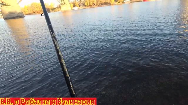 Наконец удачная рыбалка, поплавок сходит с ума от поклевок.  Ловлю белую рыбу на реке в Самаре.