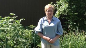 ПОЧЕМУ ВАЖНО ФОРМИРОВАТЬ ТОМАТЫ И КАК ПРАВИЛЬНО ЭТО ДЕЛАТЬ!