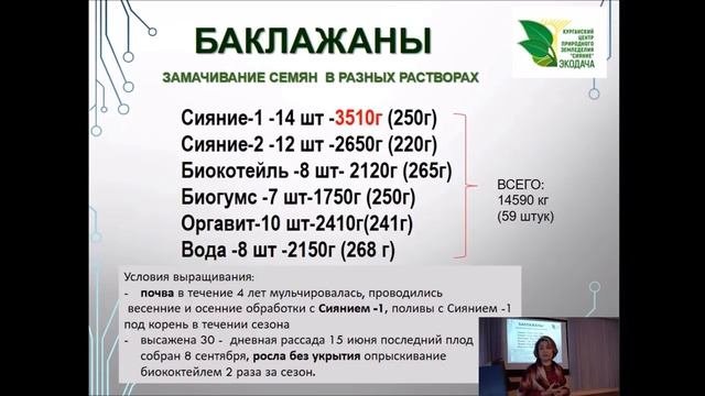Выращивание баклажан без химии.Часть 1