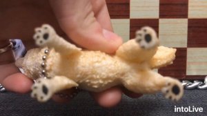 Моя коллекция фирменных фигурок собак)