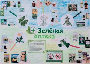 ЗЕЛЕНАЯ АПТЕКА