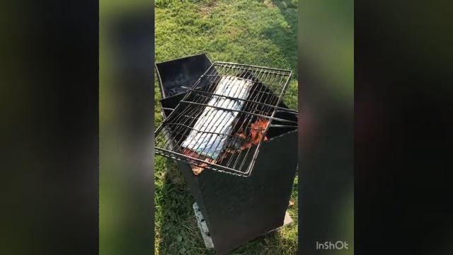 Рыба на соли / На мангале в фольге