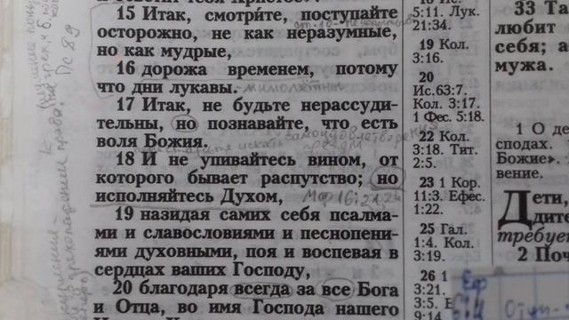 7 декабря 2021 г. смотреть онлайн