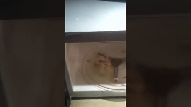 Microwave freakin out смотреть онлайн