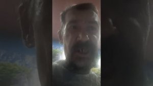 Воробей и кобыла
