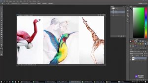 Векторное и растровое изображения. Понятие, отличия, форматы файлов.