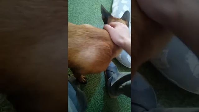 Юта рвёт подушку смотреть онлайн