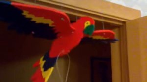 Птица машет крыльями