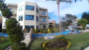 Hotel Seagull Beach resort 4*. Отзыв туриста 50+. Хургада, декабрь 2021.