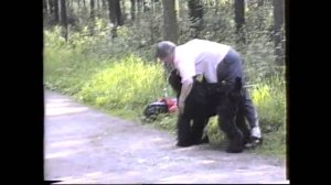 1998. Тренировка русских черных терьеров.