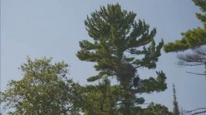 Minnesota State Parks, Loch Ness Visits Bear Head Lake State Park