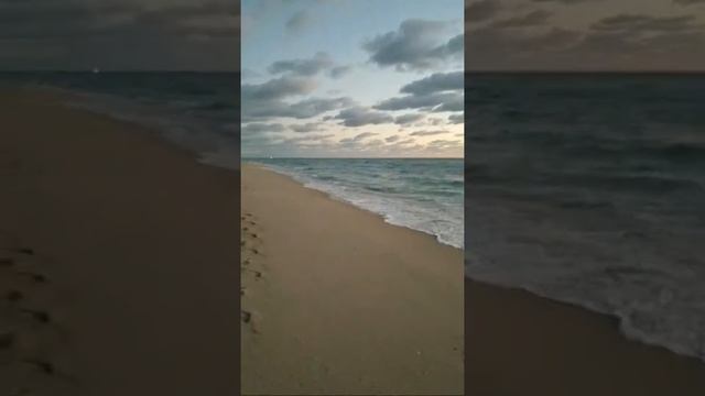 Обучение и Образование!