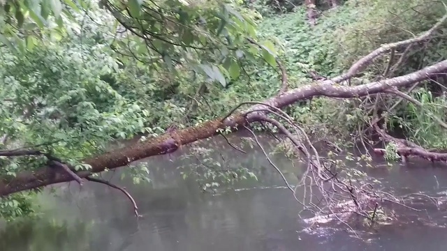 ВЕЧЕР В ДЕРЕВНЕ СПУСК К РЕКЕ/ТУЛЬСКИЙ КРАЙ Российская Глубинка/Мои путешествия 2018 смотреть онлайн