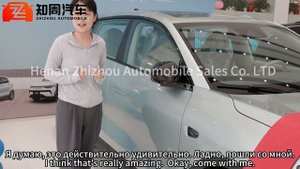 2023 Newest Leapmotor C11 580km All Wheel Drive High Performance Version?