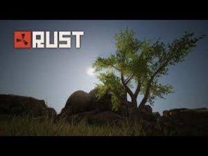 Впервые иду в Rust