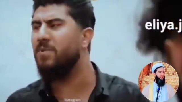 Мавлон ахмад фируз. Мавлон ахмад фируз