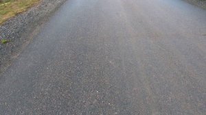 Хомячок осваивает лыжи