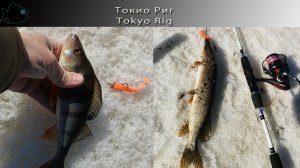 Токио риг / Tokyo Rig сделал рыбалку!