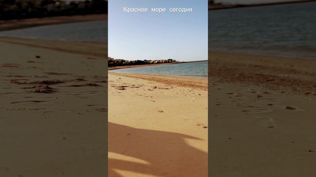 Красное море | Айна Сухна | Сегодня