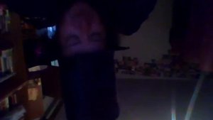 стихи пушкина гроб анакреона