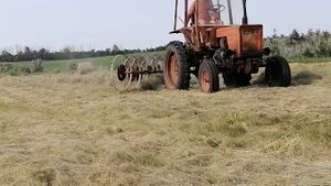 Согребаем сено на т 25 грабли солнышко