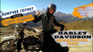 [Личное мнение] Harley-Davidson Sportster 1200