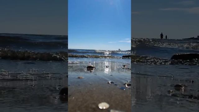 Halmstad Beach- Sweden-#shorts