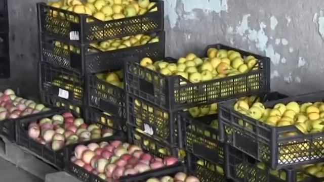 ОАО "Дружба" - импортозамещение смотреть онлайн