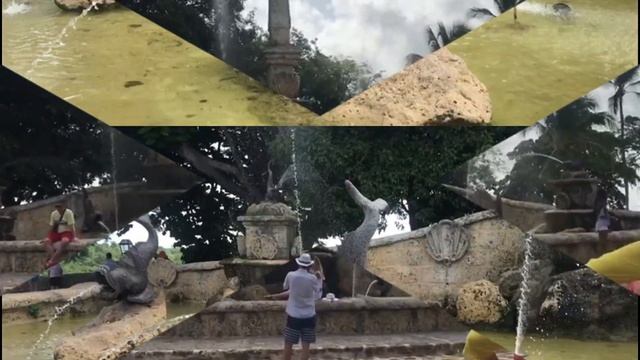 ДОМИНИКАНА РЕЛАКС. Прогулка с дельфинами, розовыми фламинго. смотреть онлайн