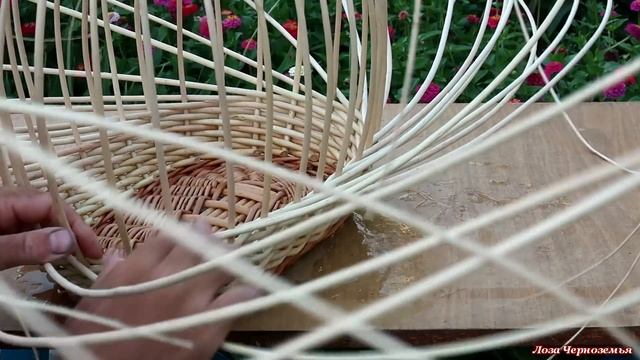 Плетение корзины С НЕСИММЕТРИЧНЫМ АЖУРОМ. КЛАССИКА ПЛЕТЕНИЯ ИЗ ЛОЗЫ, ИВОВОГО ПРУТА.